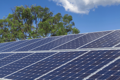 Solar panels on a rooftop, with a backdrop of trees, highlighting sustainable energy solutions in a natural setting.