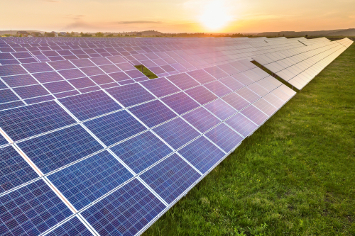 Solar panels arranged in a field, bathed in the golden light of sunset, highlighting renewable energy's beauty.