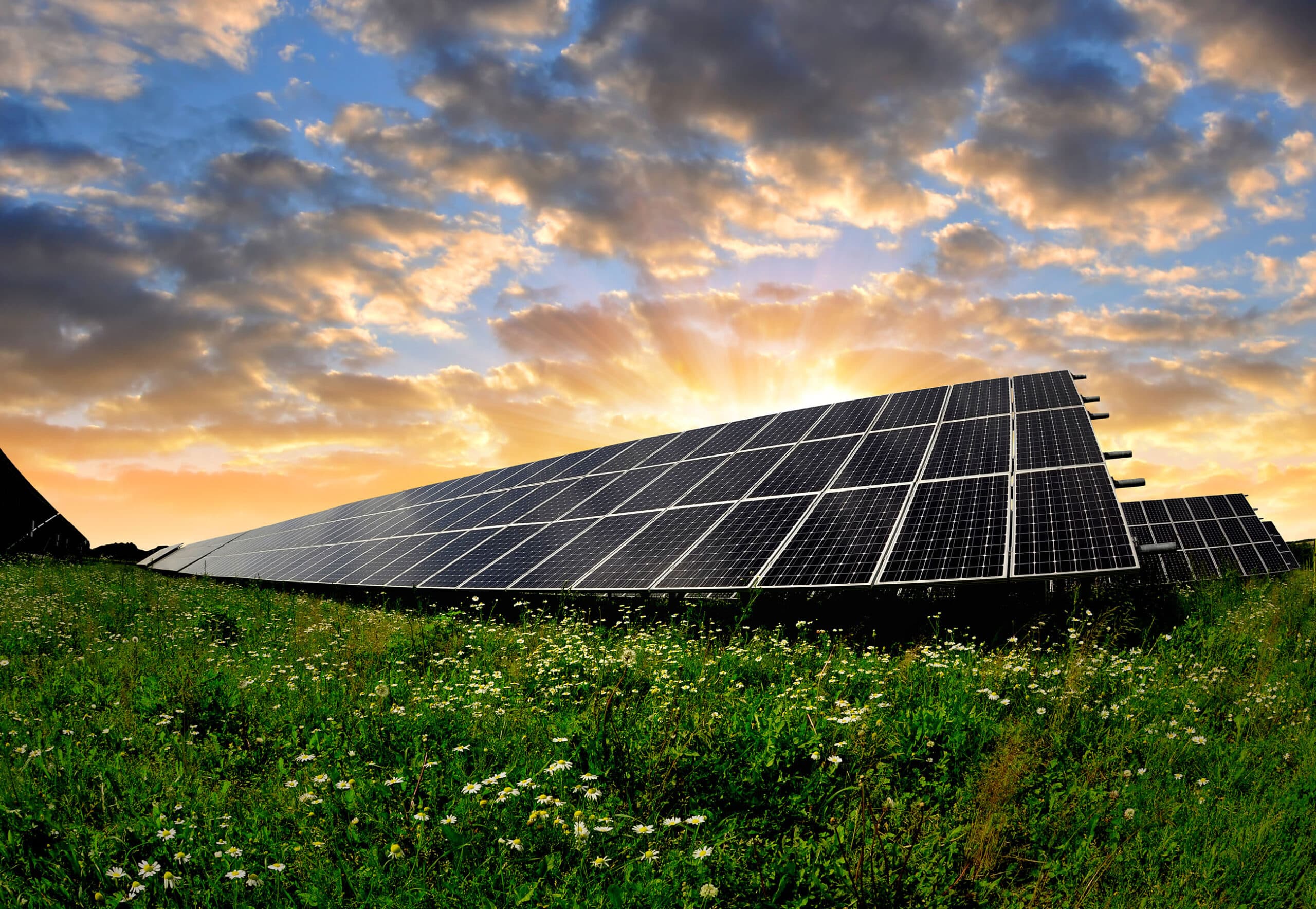 Solar Energy Panels - Solar Energy Solutions of America