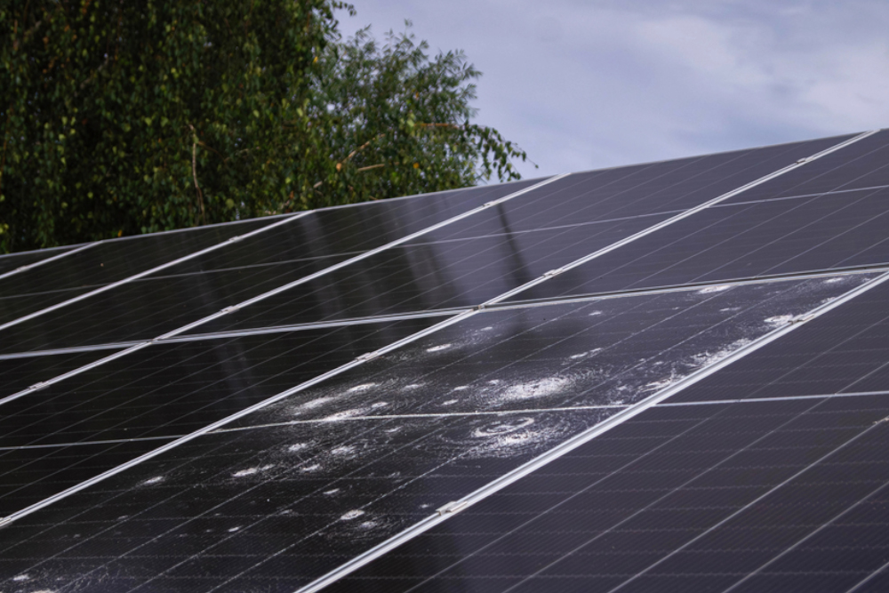 Can Hail Damage Solar Panels? What You Need To Know